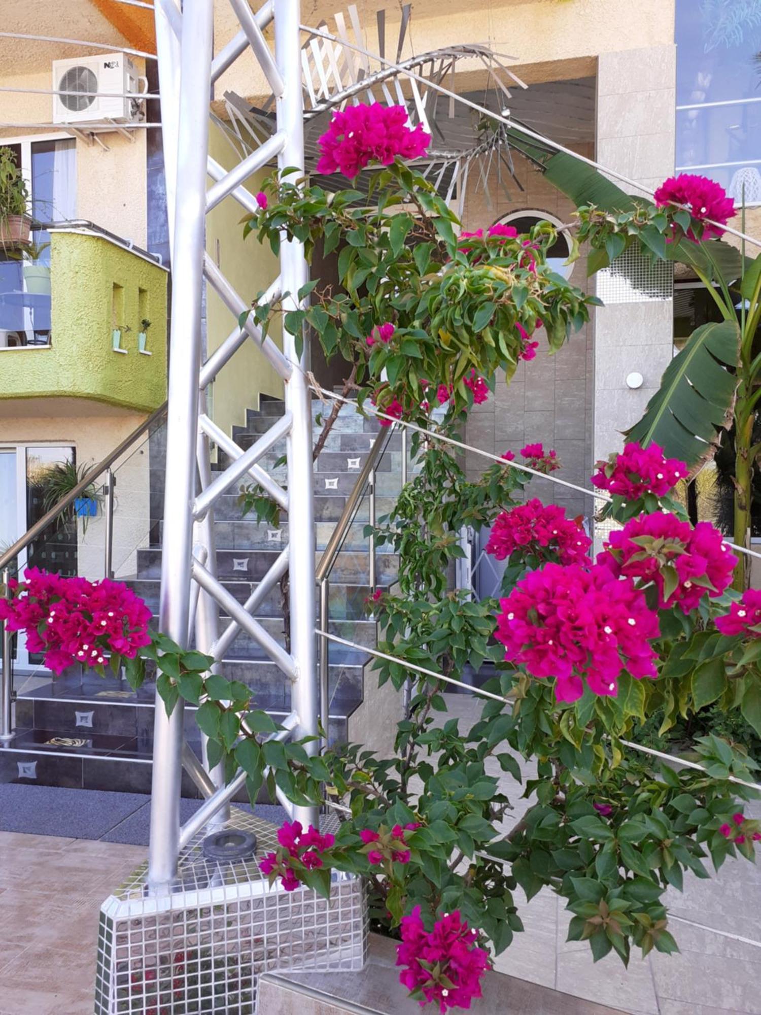 Lilalo Ηotel Paralía Exteriér fotografie